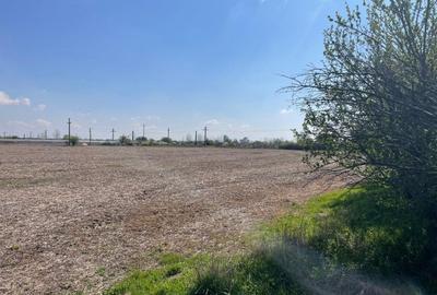 Teren Aeroport Clinceni - 9