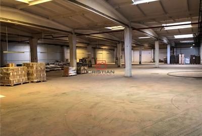 Spațiu comercial, de 15,000 mp, în Jilava - 12