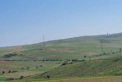 Teren de 29400 mp, în Rogova - 6