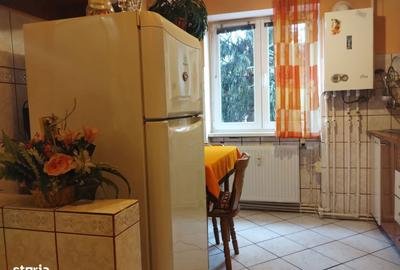 Apartament cu 2 camere în Gojdu - 5