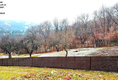 Casa la rosu D+P+E si teren 873 mp, sat Bistrita - 11
