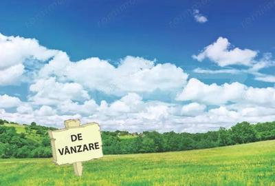 Teren 752 mp, Mo?ni?a Noua, Toate Utilita?ile - 1