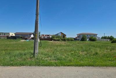 Teren de 713 mp, în Dumbrăvița - 1