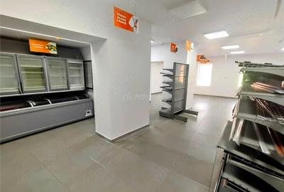 Casă cu Teren 719 Mp în Ciclova Română - 19