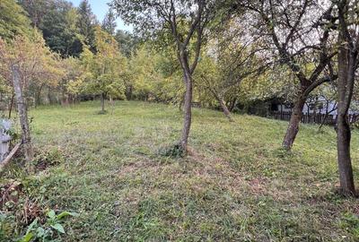 Casa de vanzare Soveja-Vrancea - 32