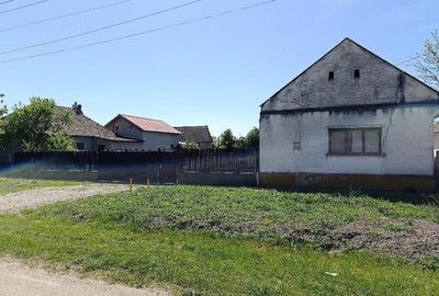 Casă cu Teren 3527 Mp în Dudeștii Noi - 1