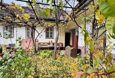 Casa  de vanzare, 3 camere, 86 mp - langa piata Cibin - 13