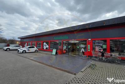 Spațiu comercial, de 910 mp, în Filipeștii de Pădure - 6