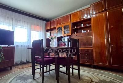 Apartament generos de vanzare 4 camere piata garii - 14