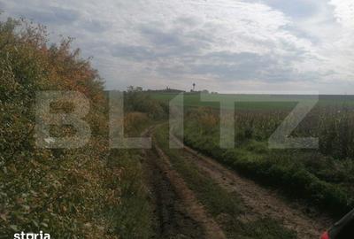 Teren de 3000 mp, în Miroslava - 2