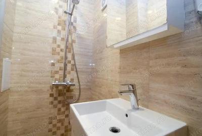 Apartament cu 2 camere de inchiriat in zona Gorjului - 3