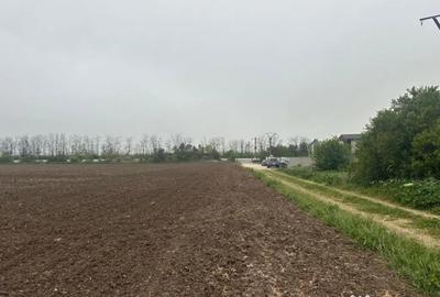 Teren în 23 August