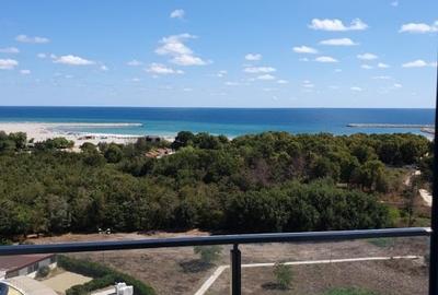 Garsonieră în 23 August - 1