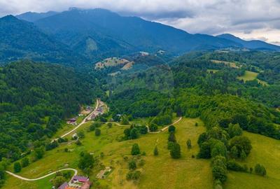 Teren Parcul National Bucegi/Str Glajarie Rau Mare/Panicel/Sohodol - 4