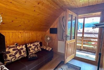 FILM3D!Cocheta casuta, mobilata, accesorizata, garaj, gradin - 17