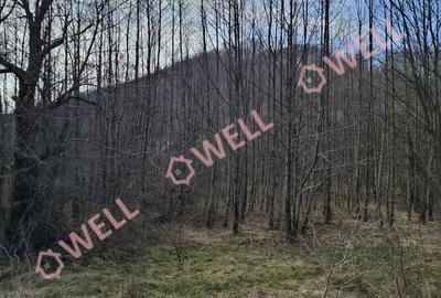 Teren Construcții intravilan de 3000 mp, în Exterior Est - 5