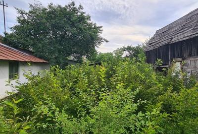 Teren (2000mp) - Casă istorică cu cerdac - Livadă - Intravilan Teren (2000mp) - Casă istorică cu cerdac - Livadă - Intravilan - 13