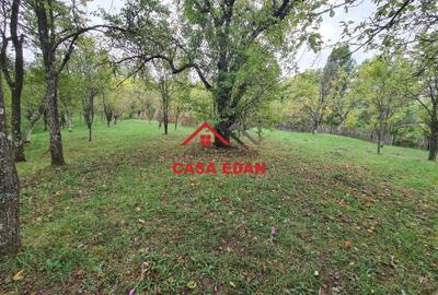 Teren intravilan in Sotrile--5991mp--10e Teren intravilan in Sotrile--5991mp--10e - 5