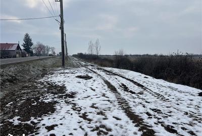 Teren de 26000 mp, în Cefa - 6