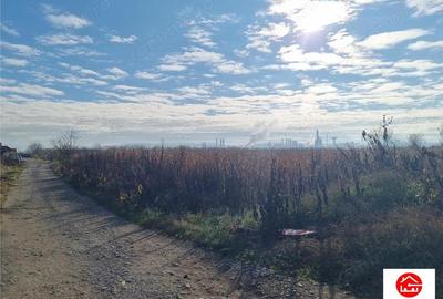 Teren intravilan 39 arii, posibil 7 parcele, strada graului, Nazna - 5