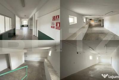 Spațiu comercial, de 400 mp, în Lucian Blaga - 2
