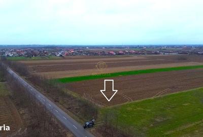Teren de 4300 mp, în Odoreu - 1