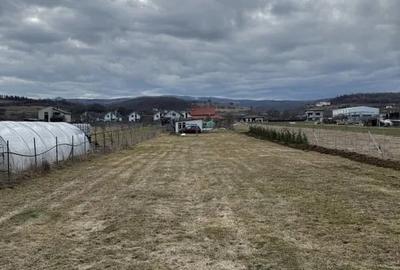 Teren Construcții de 2060 mp, în Luna de Sus - 1