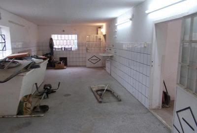 Casă cu 3 camere cu Teren 1689 Mp în Pădureni - 2