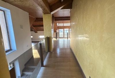 Casă individuală cu 10 camere cu Piscina în Dumbrăvița - 19