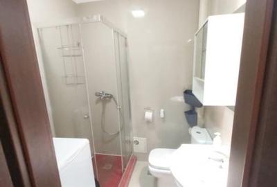 Garsoniera de inchiriat langa Parc Tineretului - 4