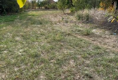 Casă cu 4 camere cu Teren 1480 Mp în Hodoni - 1
