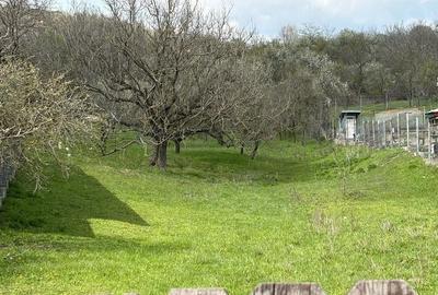 Teren de 9140 mp, în Aninoasa - 2