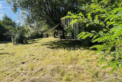 Teren de 3234 mp, în Lerești - 10