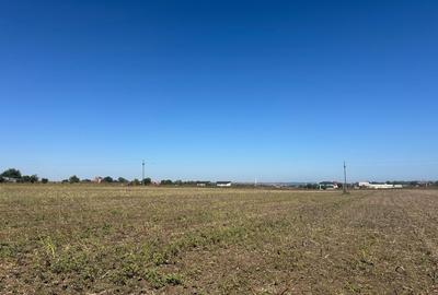 Exclusiv ! TUZLA - teren 10.000 mp cu deschidere 37 mp (Cod E8) - 12
