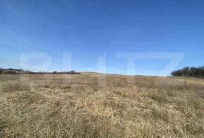 Teren de 140551 mp, în Recea - 8