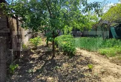 Casă cu 2 camere cu Teren 400 Mp în Turda - 3