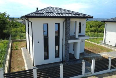 Casă cu 4 camere în Vișan - 3