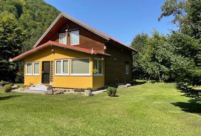 Casa cu Teren de 3000 metri patrati de vanzare - 4