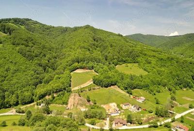 Teren de 16000 mp, în Poiana Mărului - 9