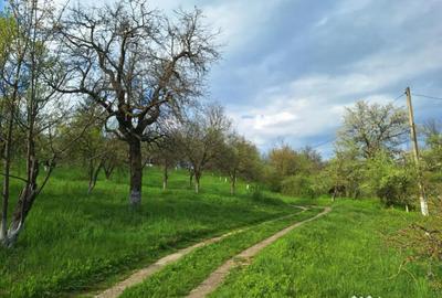 Casă cu 5 camere cu Teren 5950 Mp în Nord - 11