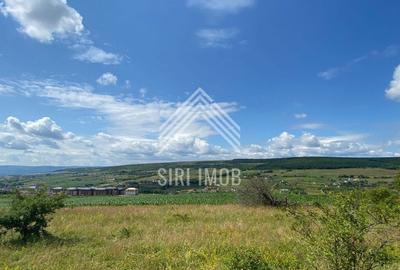 Teren intravilan 14.500mp, Chinteni, zona strazii muntii Cernei,ideal investitie - 2