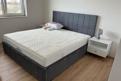 Apartament cu 2 camere decomandat în Plopi - 7
