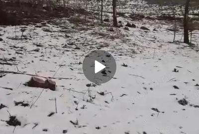 Casă cu 2 camere în Ițcani - 4