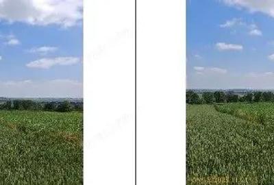 Teren extravilan Bosanci, ID: R2649417 - 4