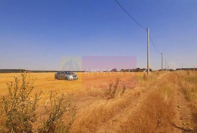 Teren pentru casa/case in Brane?ti pe strada Topora?i - 17