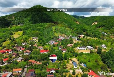 Teren în Griviței - 8