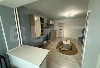 Garsonieră semidecomandată în Brazda lui Novac - 4