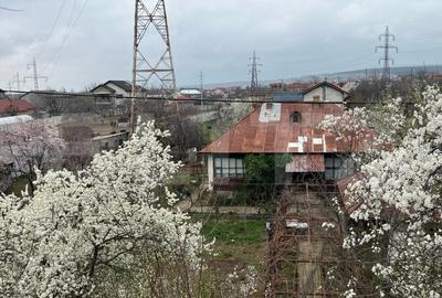 Casă individuală cu 2 camere cu Teren 1442 Mp în Calea București - 1