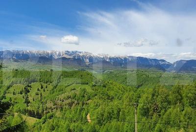 Casă individuală cu 5 camere cu Garaj în Moieciu de Jos - 4