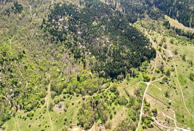 Teren Intravilan parcele 1000mp - 19